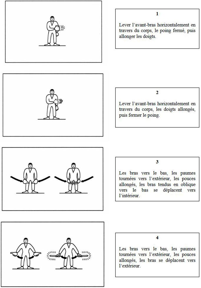évaluation avion